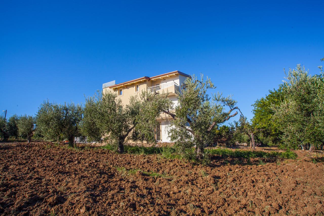 Il Gallo Con Gli Stivali Termoli Ngoại thất bức ảnh