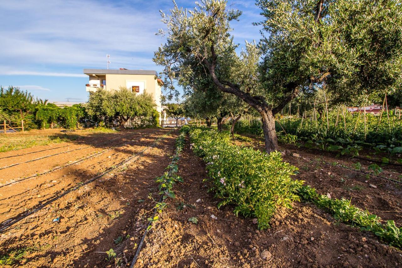Il Gallo Con Gli Stivali Termoli Ngoại thất bức ảnh