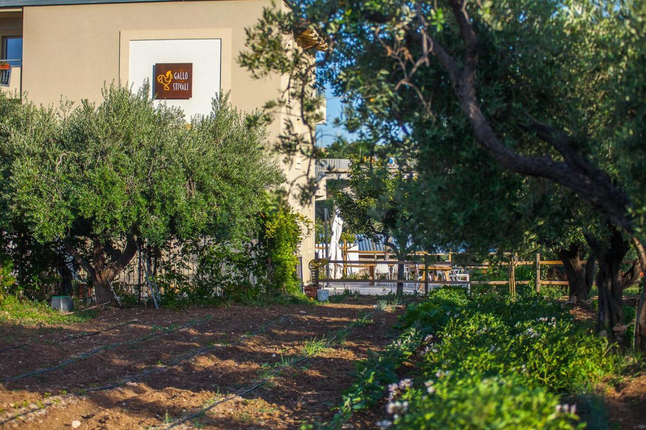 Il Gallo Con Gli Stivali Termoli Ngoại thất bức ảnh