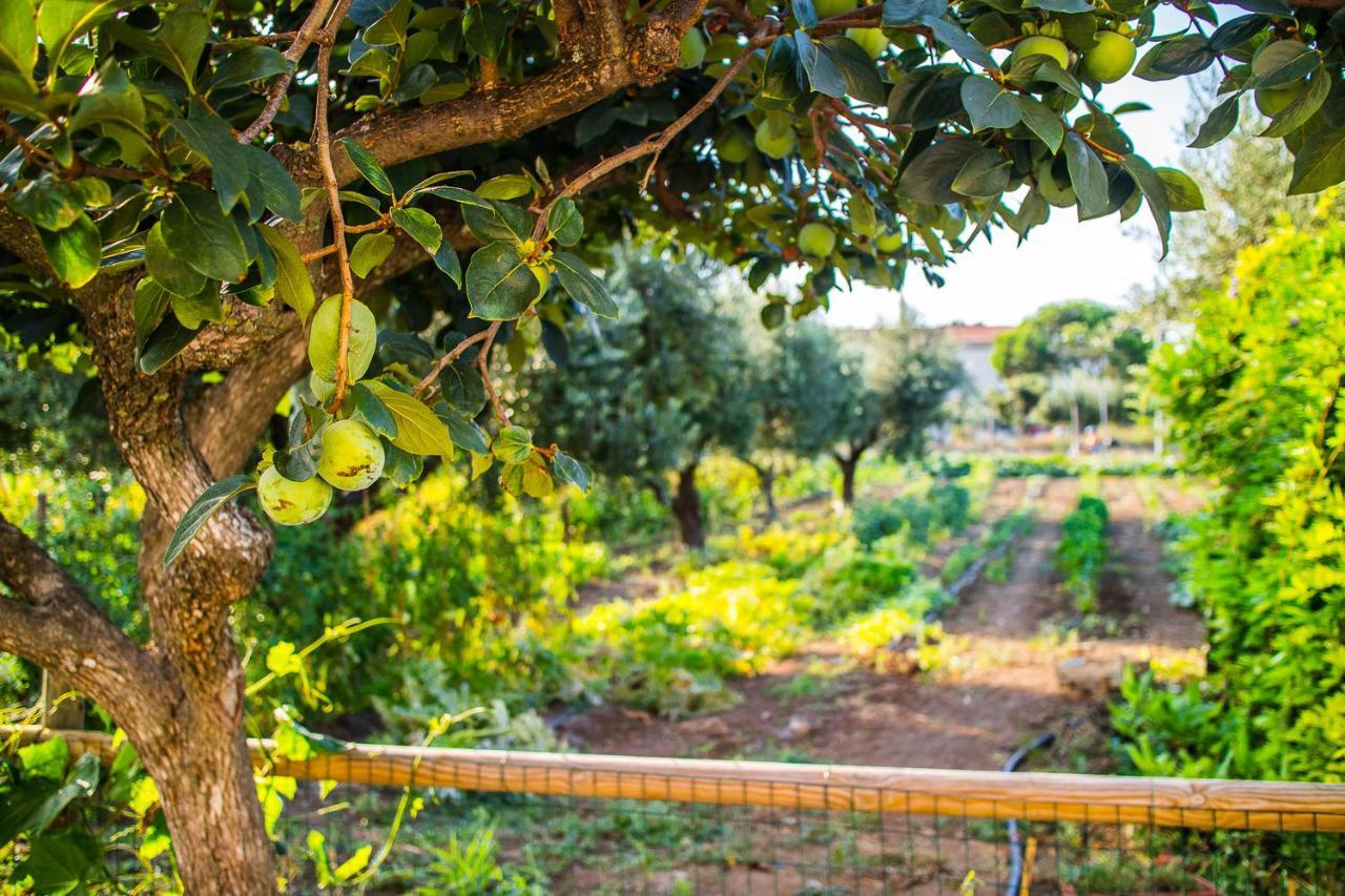 Il Gallo Con Gli Stivali Termoli Ngoại thất bức ảnh
